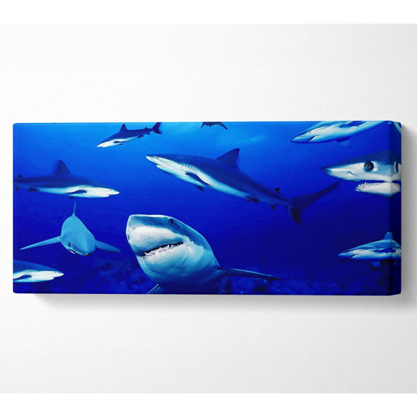 Highland Dunes Sharks Ocean Wrapped Canvas Art Prints Uk